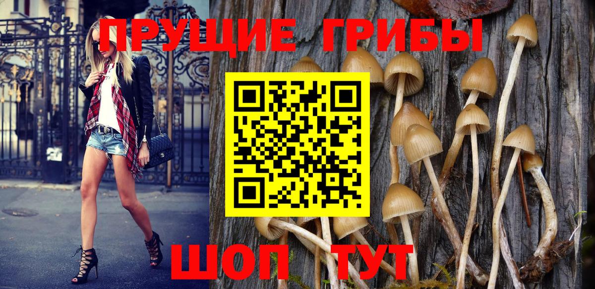 Псилоцибиновые грибы Magic Shrooms Кудымкар